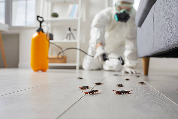 Commercial Kitchen Cockroach Control in Millsboro